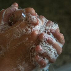 szczoteczka do mycia rąk