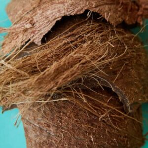 włosie kokosowe